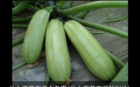 什么蔬菜有两个名字(什么蔬菜有两种叫法)