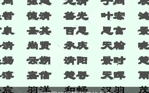 姓柳男孩比较韩范的名字