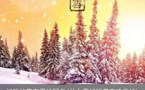 好听的带有雪的网名(什么雪好听带有诗意的)