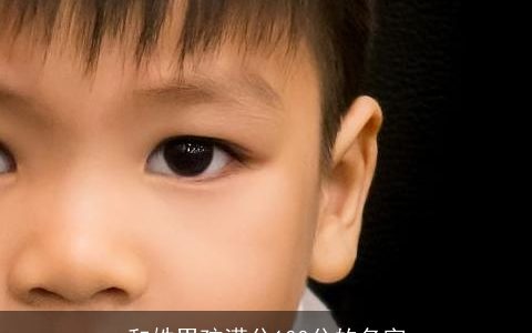 和姓男孩满分100分的名字