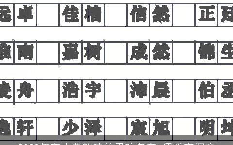 2024年有古典韵味的男孩名字 儒雅有深意