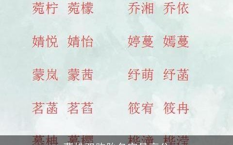 曹姓双胞胎名字最高分