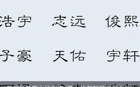 男孩起名带水的名字(带水的有智慧名字女孩)