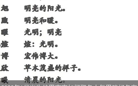 2023年1月出生的男宝宝如何取名大气男孩好名字