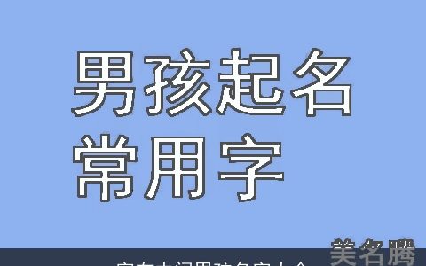 字在中间男孩名字大全