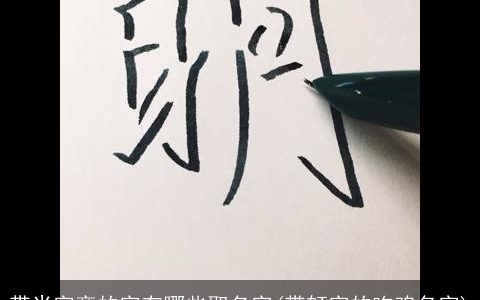 带米字旁的字有哪些取名字(带轩字的吃鸡名字)
