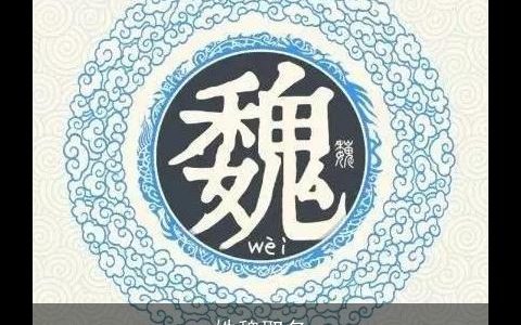 姓魏取名