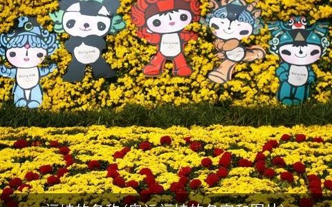 福娃的名称(奥运福娃的名字和图片)