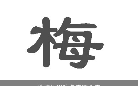 姓梅的男孩名字四个字