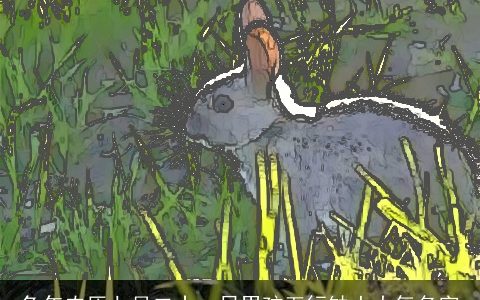 兔年农历七月二十一日男孩五行缺土大气名字