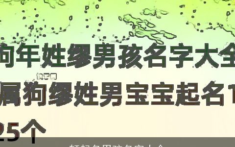 轩起名男孩名字大全