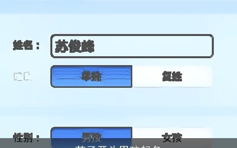 苏子开头男孩起名