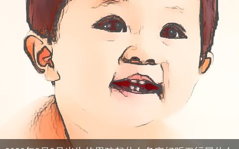 2023年5月8号出生的男孩起什么名字好听五行属什么