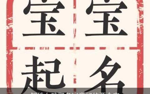 邹姓女孩取名寓意好的两个字