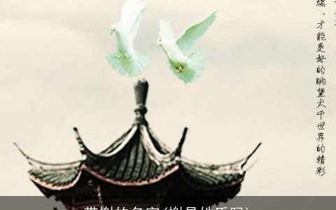 带榭的名字(榭是姓氏吗)