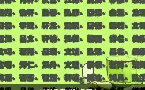 子起名字男孩名字大全