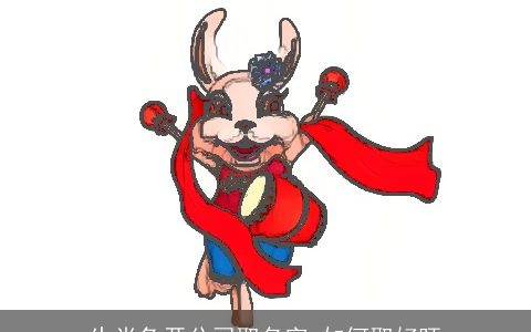 生肖兔开公司取名字 如何取好旺