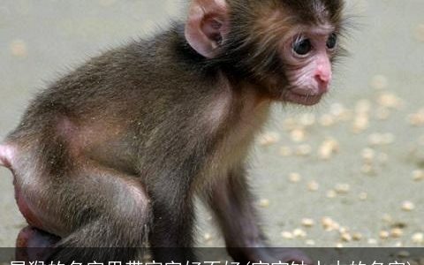 属猴的名字里带宸字好不好(宝宝缺水木的名字)