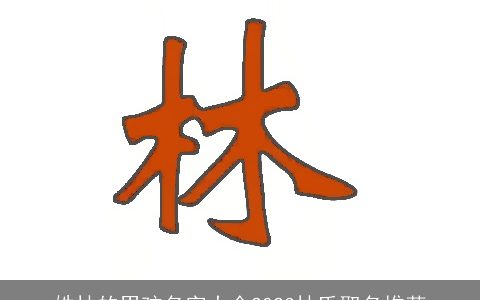 姓林的男孩名字大全2023林氏取名推荐