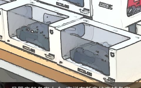 母婴店起名字大全 吉祥有新意的店铺名字