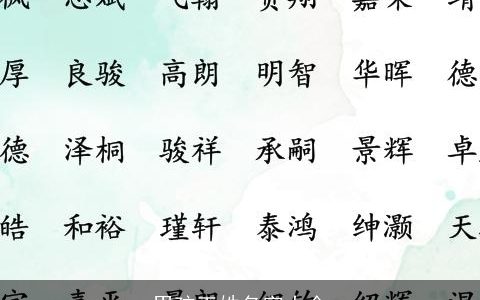 男孩王姓名字大全