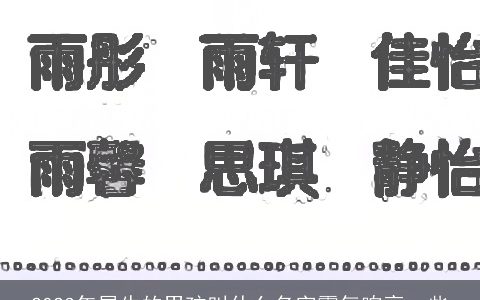 2024年属龙的男孩叫什么名字霸气响亮一些