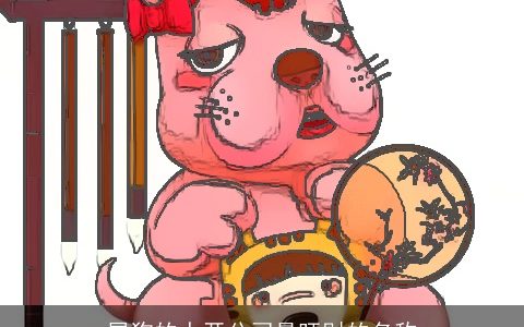 属狗的人开公司最旺财的名称