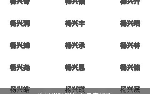 姓杨男孩叫什么名字好听