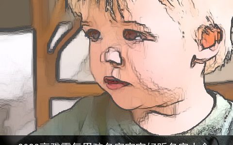 2024高雅霸气男孩名字宝宝好听名字大全_