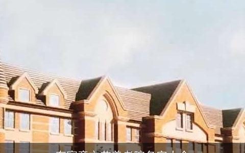 有寓意文艺养老院名字大全