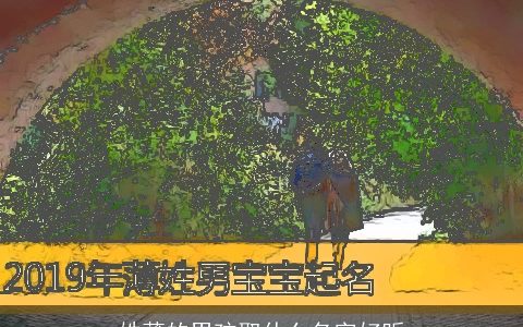 姓薄的男孩取什么名字好听