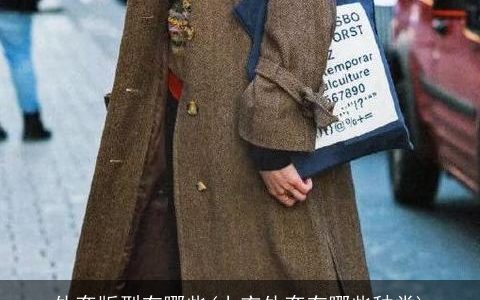 外套版型有哪些(上衣外套有哪些种类)