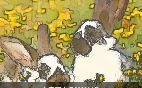 女宝宝小名2024属兔