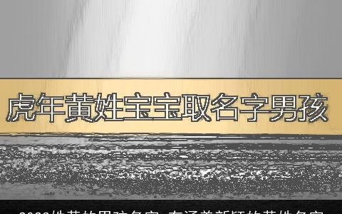 2023姓黄的男孩名字 有涵养新颖的黄姓名字