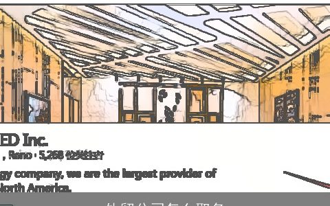 外贸公司怎么取名