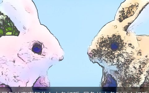 属兔的宝宝起什么小名好听 属兔的小名叫什么好听