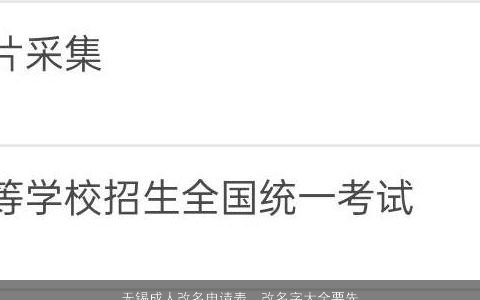 无锡成人改名申请表  改名字大全要先填好 2024温柔文静诗意的宝宝名字