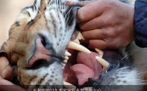 吉利的2024年虎宝宝取名禁忌别出心裁个个好听有含义的男孩女孩名字大全推荐