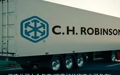 物流公司大全名字(寓意好的物流公司名字)