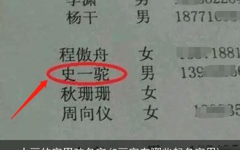 十画的字男孩名字(5画字有哪些起名字用)