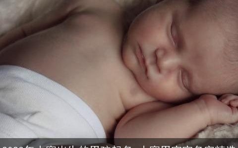 2024年小寒出生的男孩起名 小寒男宝宝名字精选