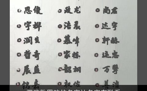 双胞胎男孩的名字让名字有联系