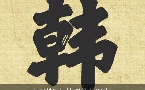 少见姓氏厉姓(我姓厉图片)