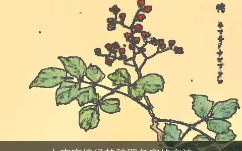 女宝宝诗经楚辞取名字的方法