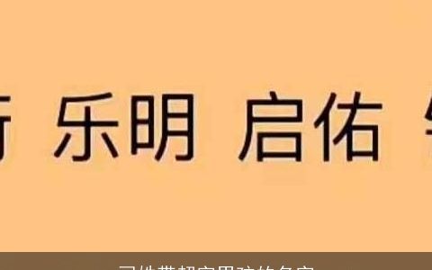 司姓带超字男孩的名字
