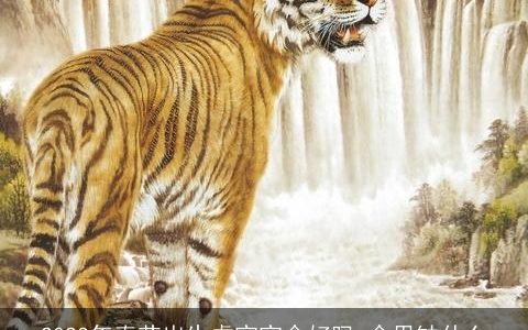 2024年春节出生虎宝宝命好吗 命里缺什么