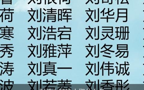 刘姓女孩缺土取什么名