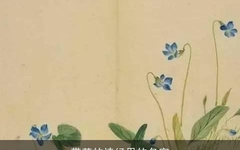 带英的诗经里的名字