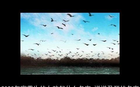 2023年寒露生的女孩起什么名字 洋洋盈耳的名字