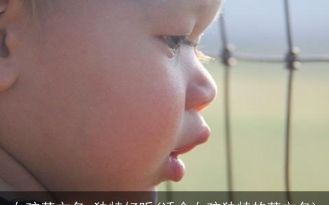 女孩英文名 独特好听(适合女孩独特的英文名)